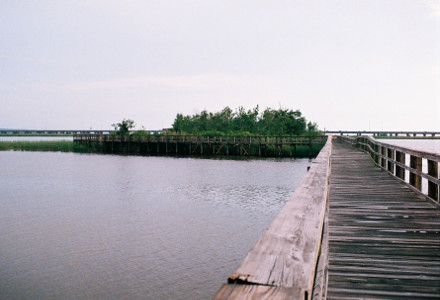 [View of the actual walking portion of a long boardwalk over water heading to what appear to be small islands.]